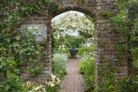 /The White Garden in July at Sissinghurst Castle Garden